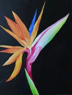 Colorful Bird of Paradise