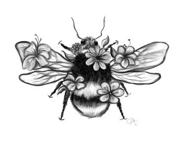 Sketching - For the Love of Bees